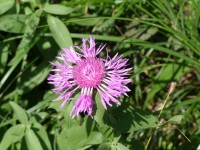 /album/fotogaleria/p7230369-jpg/