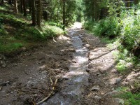 /album/fotogaleria/p7230381-jpg/